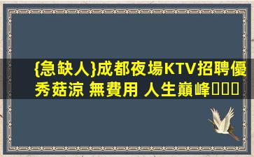 荊門KTV招聘